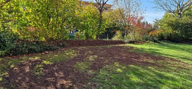 Gesunder grüner Rasen nach der Behandlung durch Fretz Gartenpflege - Erfolgsbeispiel aus Zürich